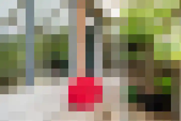 Commandeurslaan 87 Heemskerk thumbnail 30