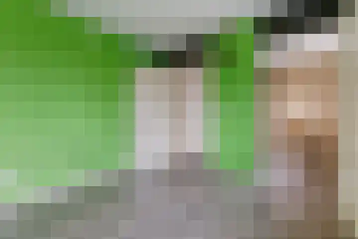 Commandeurslaan 87 Heemskerk thumbnail 31