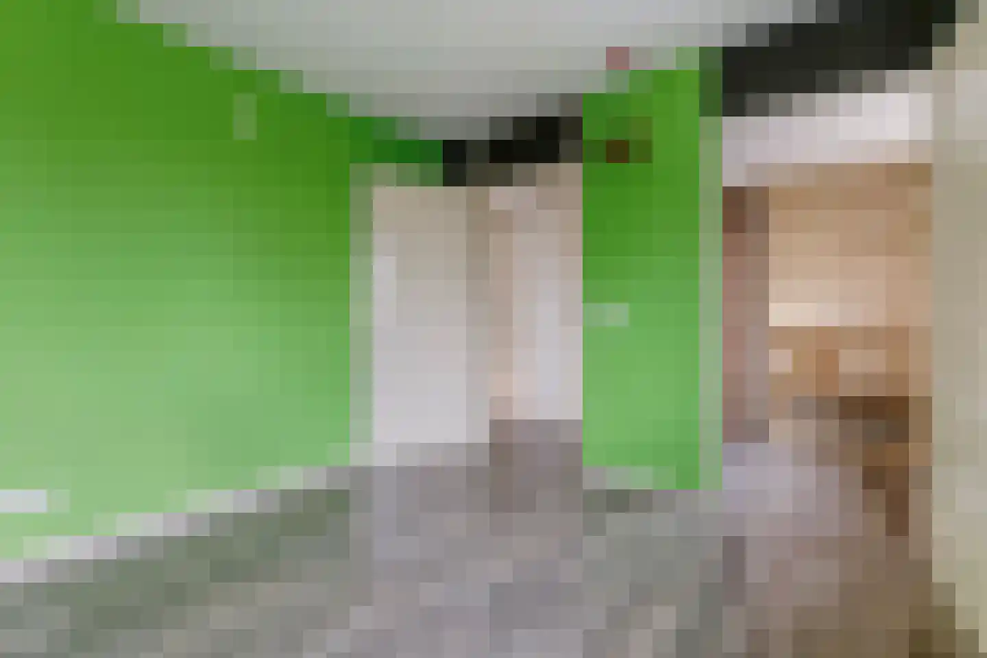 Commandeurslaan 87 Heemskerk thumbnail 32