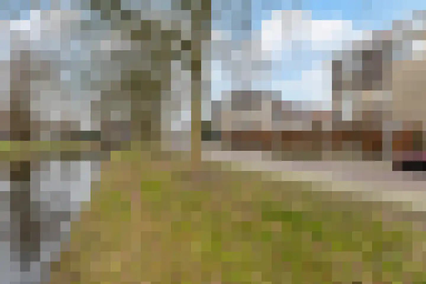 Commandeurslaan 87 Heemskerk thumbnail 35