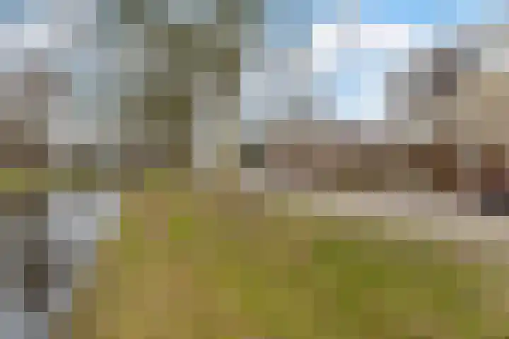 Commandeurslaan 87 Heemskerk thumbnail 35