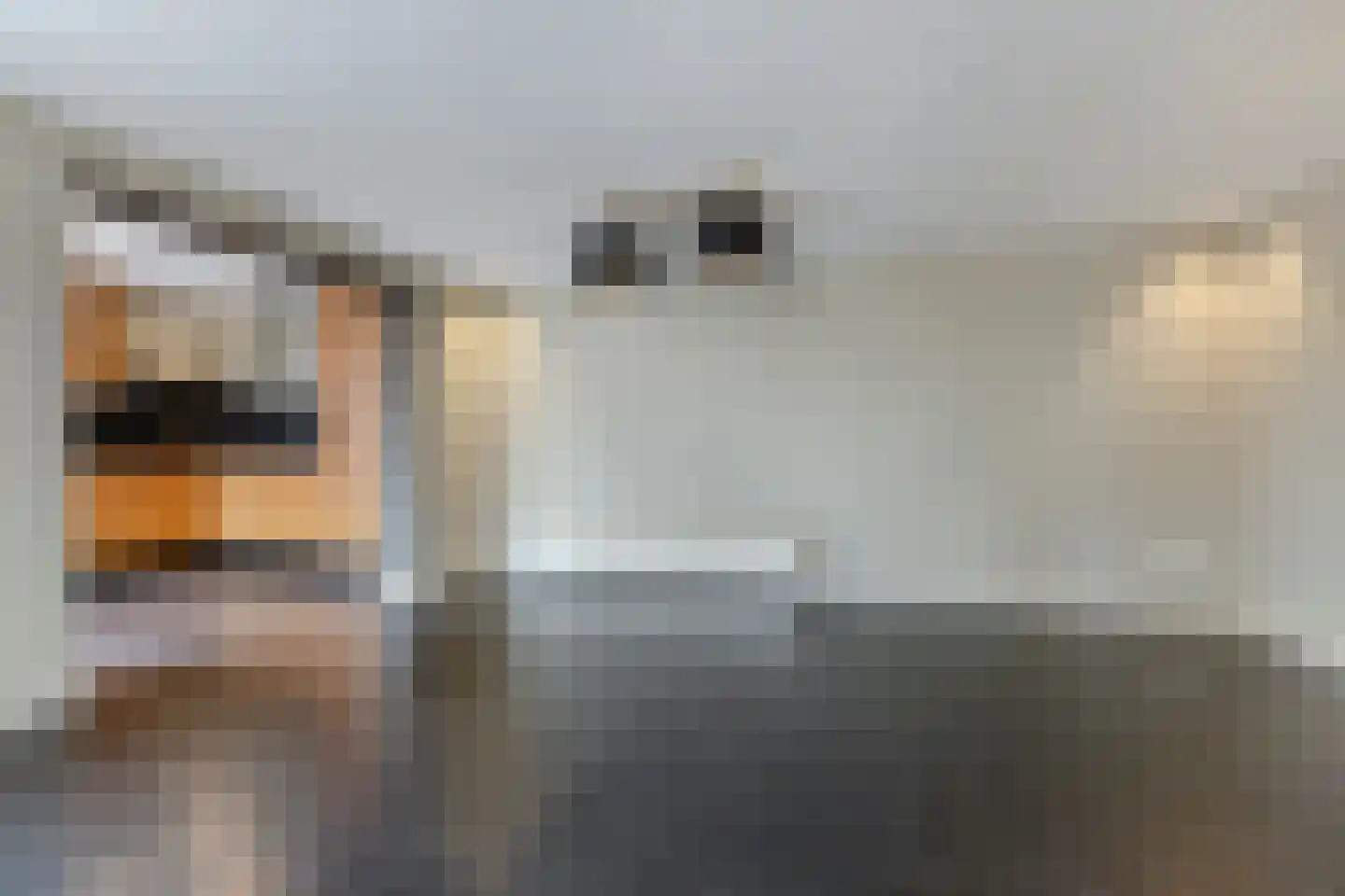 Commandeurslaan 87 Heemskerk thumbnail 4