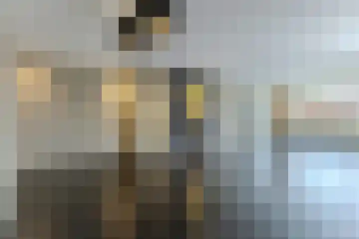 Commandeurslaan 87 Heemskerk thumbnail 5