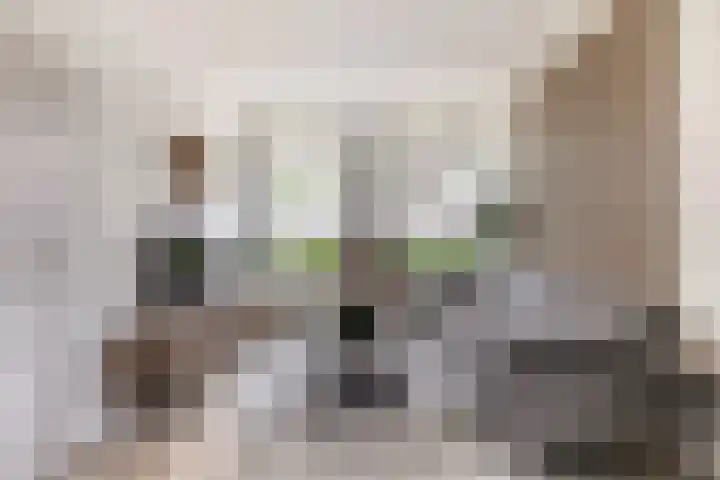 Commandeursstraat 10 Brielle foto 2