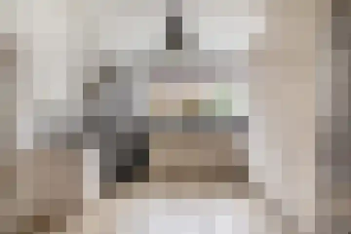 Commandeursstraat 10 Brielle thumbnail 4