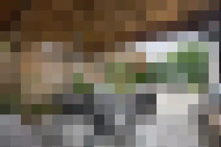 Commandeursstraat 10 Brielle thumbnail 40