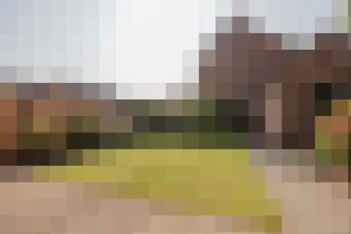 Commandeurstraat 17 Geertruidenberg thumbnail 10