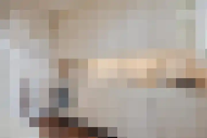 Commandeurstraat 17 Geertruidenberg thumbnail 14
