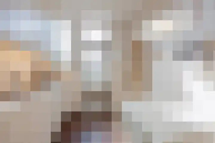 Commandeurstraat 17 Geertruidenberg thumbnail 16