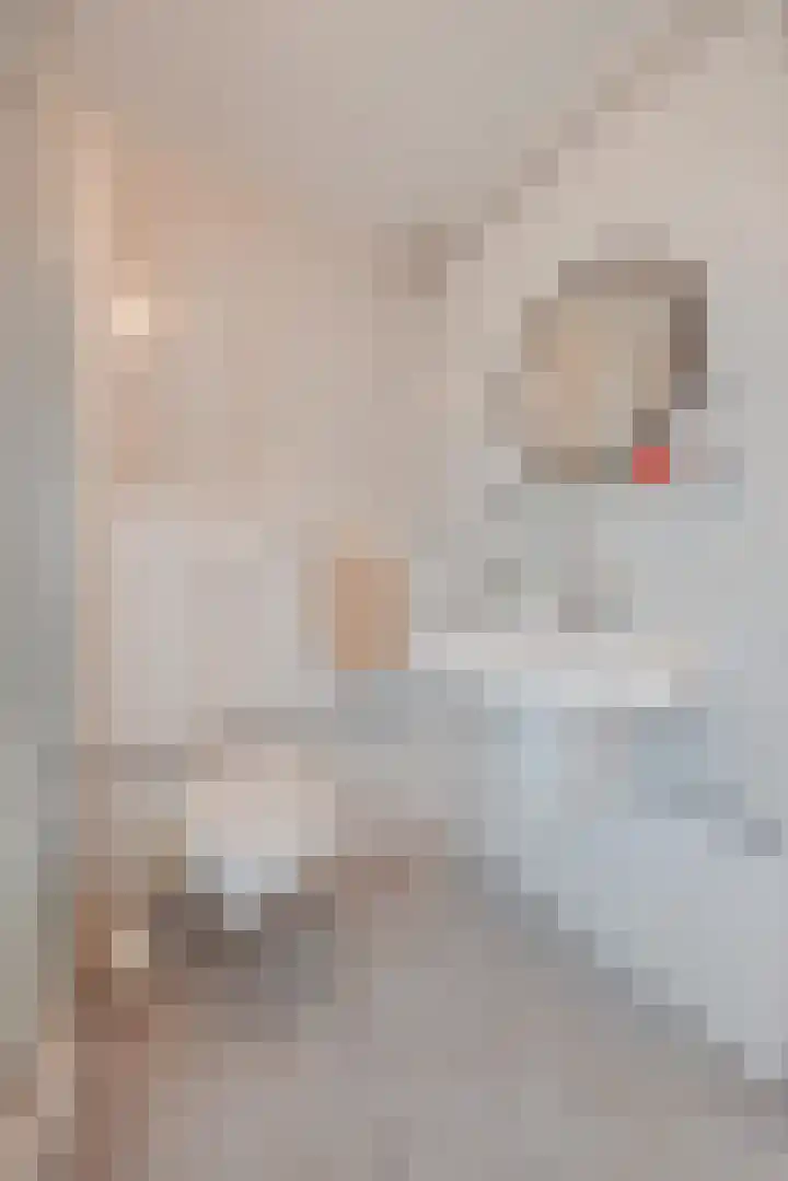 Commandeurstraat 17 Geertruidenberg thumbnail 21