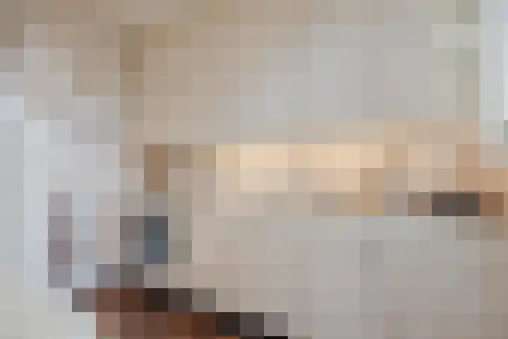 Commandeurstraat 17 Geertruidenberg thumbnail 4