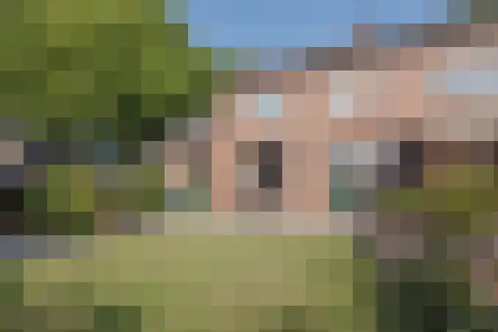 Commandeurstraat 17 Geertruidenberg thumbnail 8