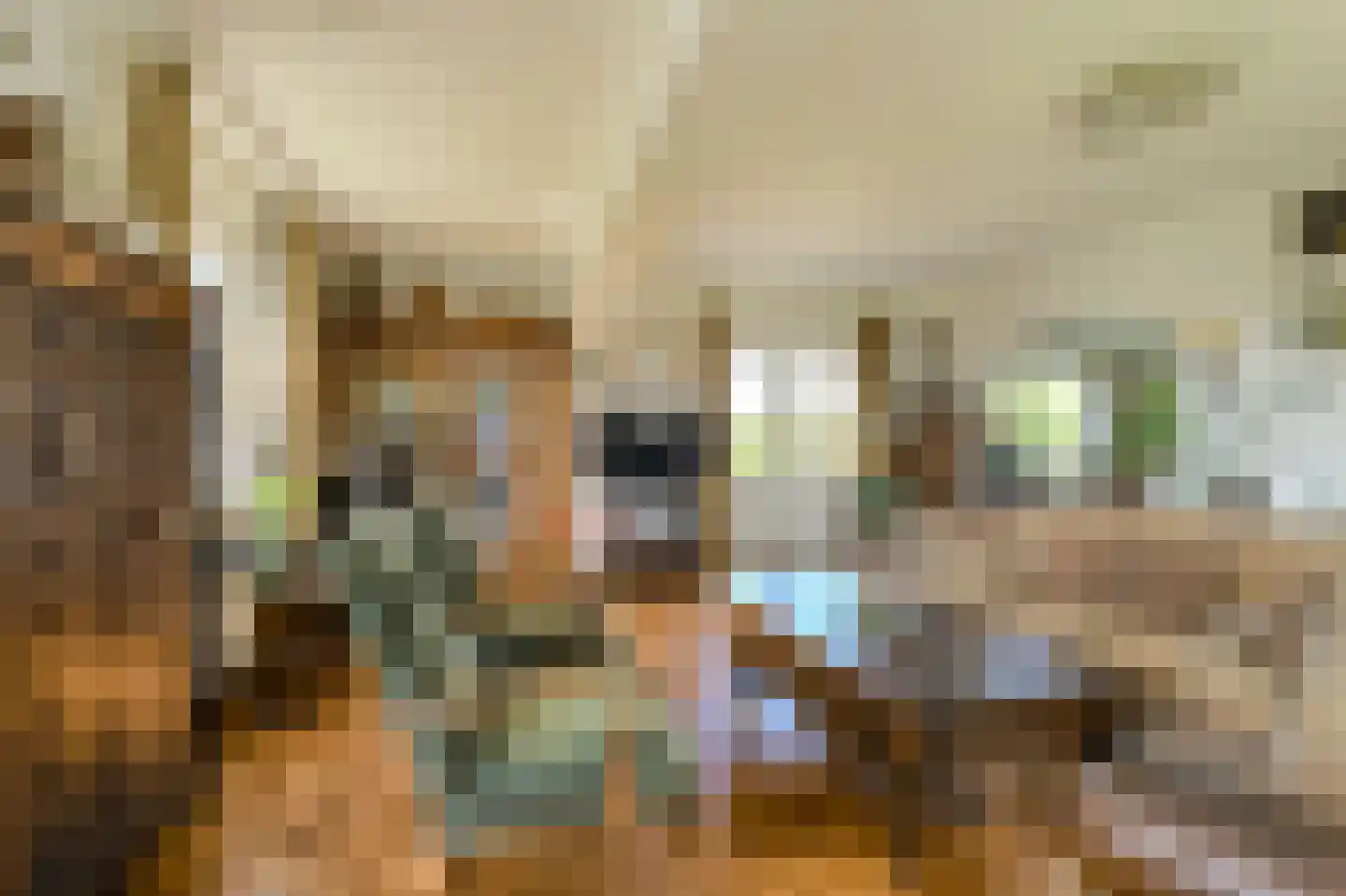 Commandeurstraat 2 Geertruidenberg thumbnail 11