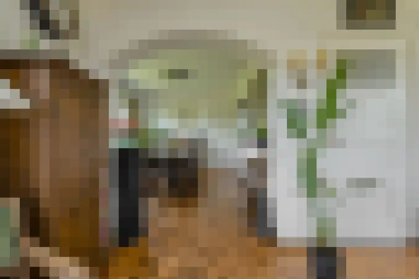 Commandeurstraat 2 Geertruidenberg thumbnail 14