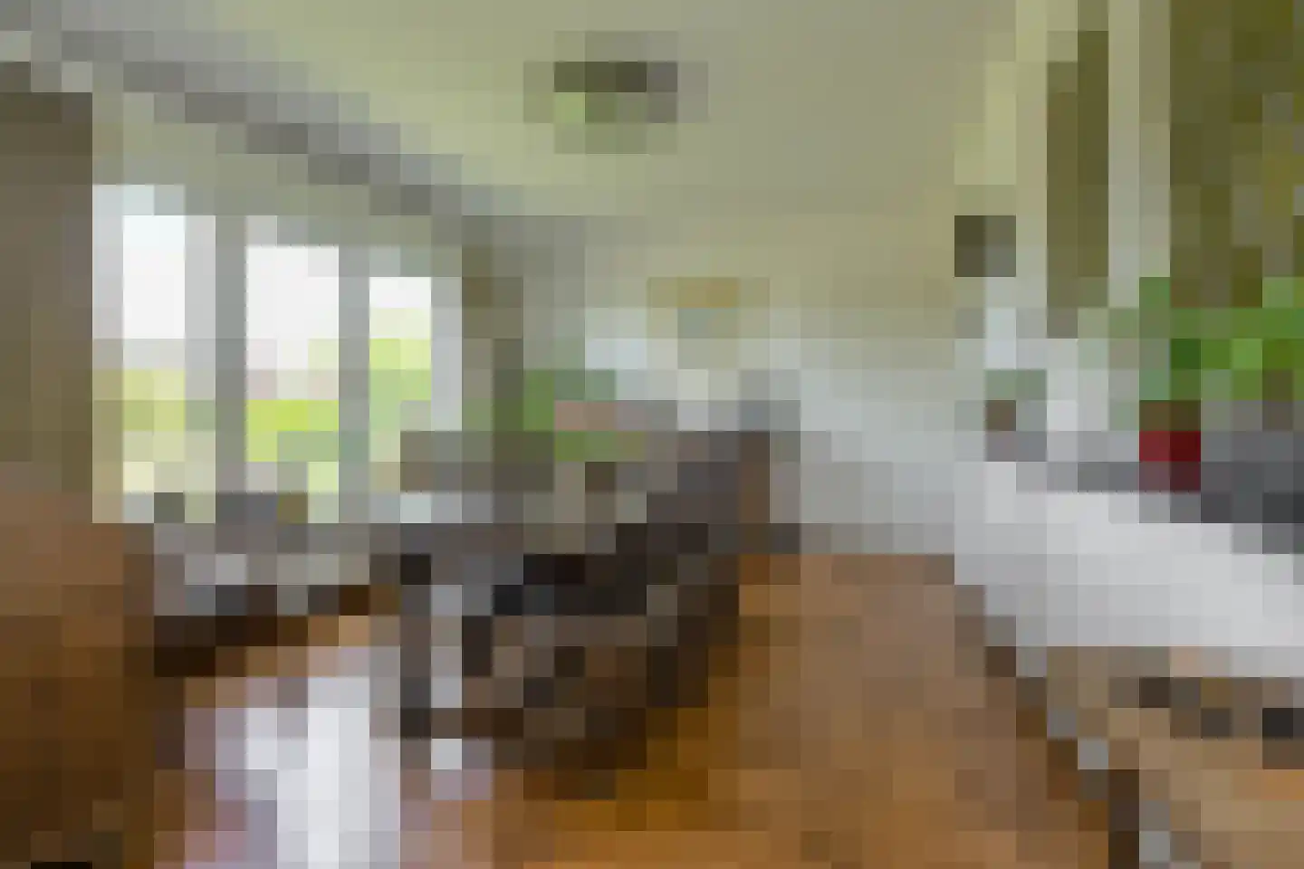 Commandeurstraat 2 Geertruidenberg thumbnail 15