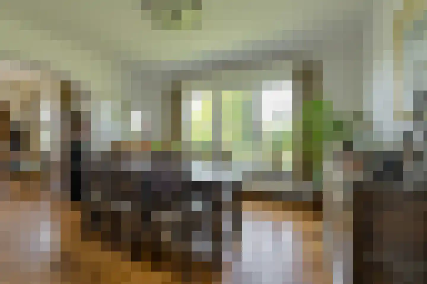 Commandeurstraat 2 Geertruidenberg thumbnail 16