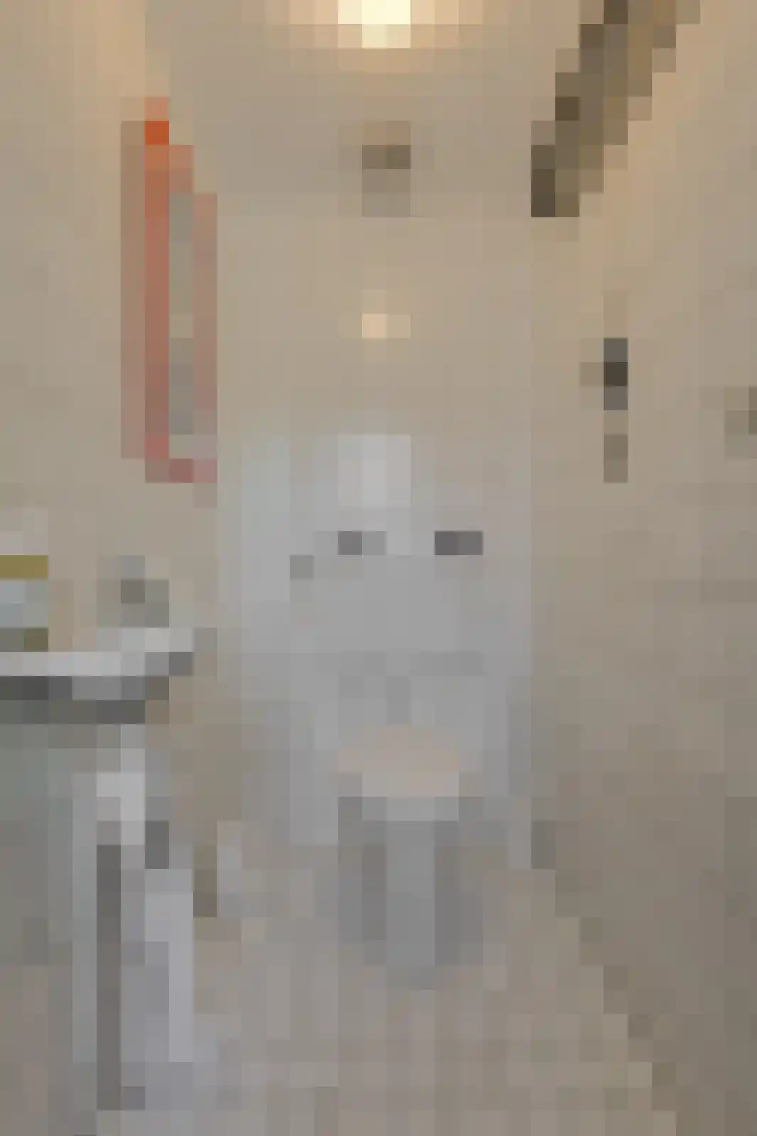 Commandeurstraat 2 Geertruidenberg thumbnail 25