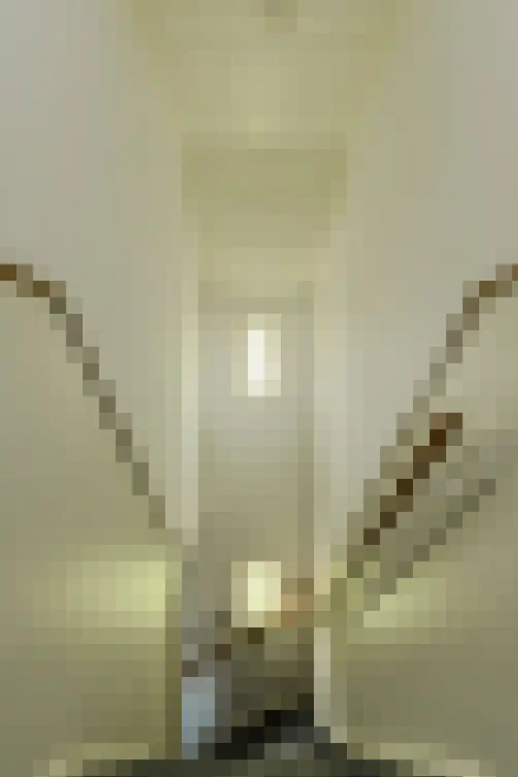 Commandeurstraat 2 Geertruidenberg thumbnail 27