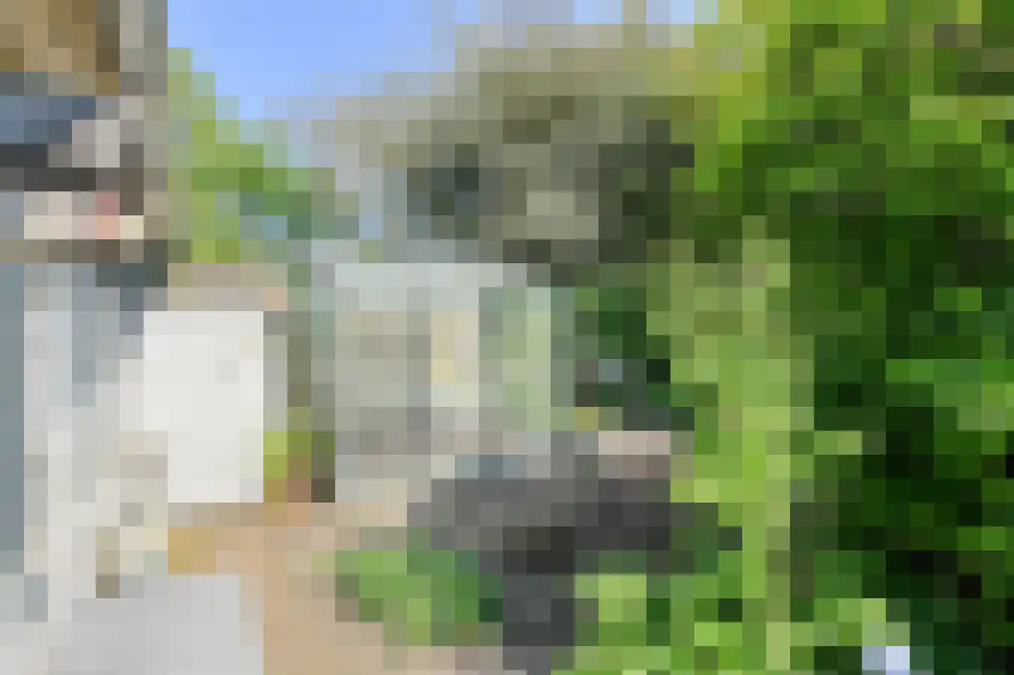 Commandeurstraat 2 Geertruidenberg thumbnail 48
