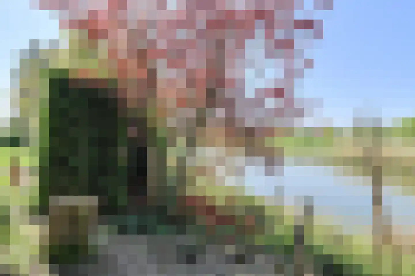 Commandeurstraat 2 Geertruidenberg thumbnail 49