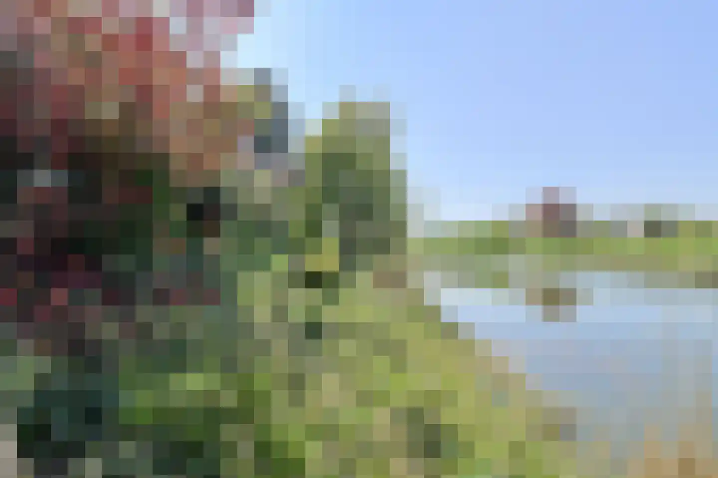 Commandeurstraat 2 Geertruidenberg thumbnail 50