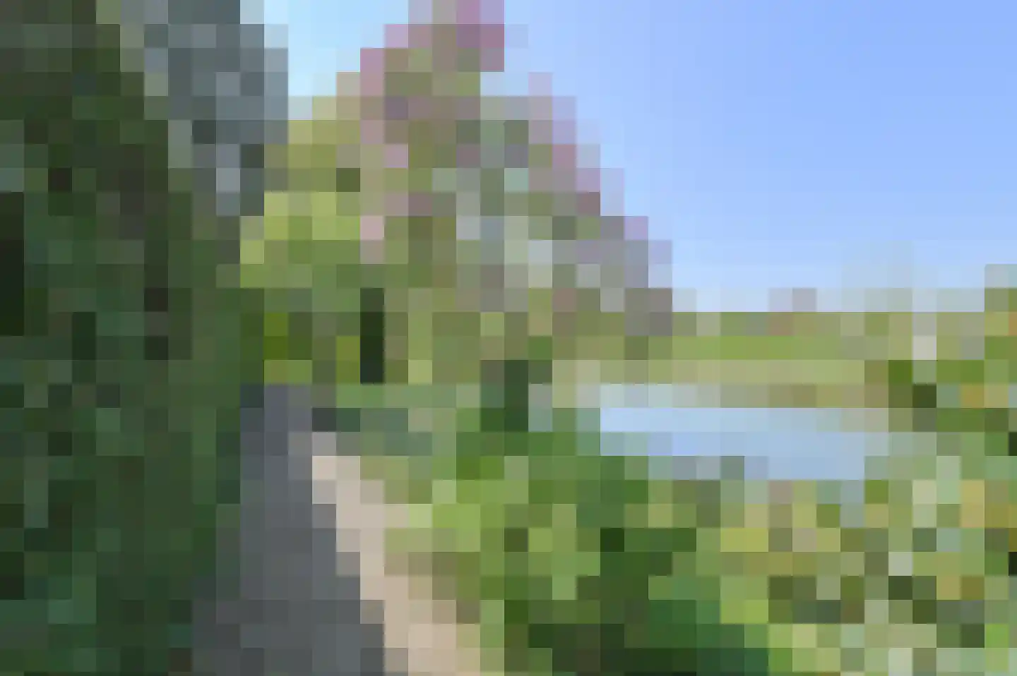 Commandeurstraat 2 Geertruidenberg thumbnail 52