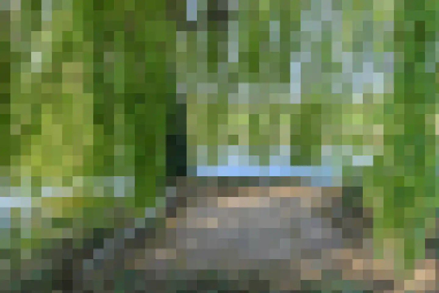 Commandeurstraat 2 Geertruidenberg thumbnail 53
