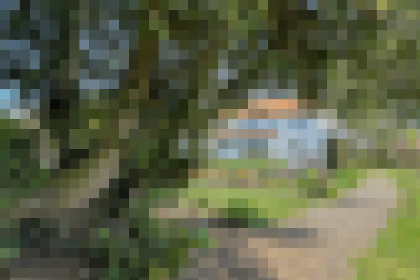 Commandeurstraat 2 Geertruidenberg thumbnail 54