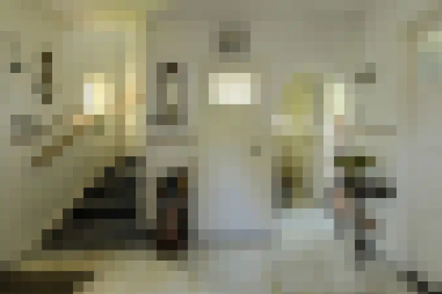 Commandeurstraat 2 Geertruidenberg thumbnail 7