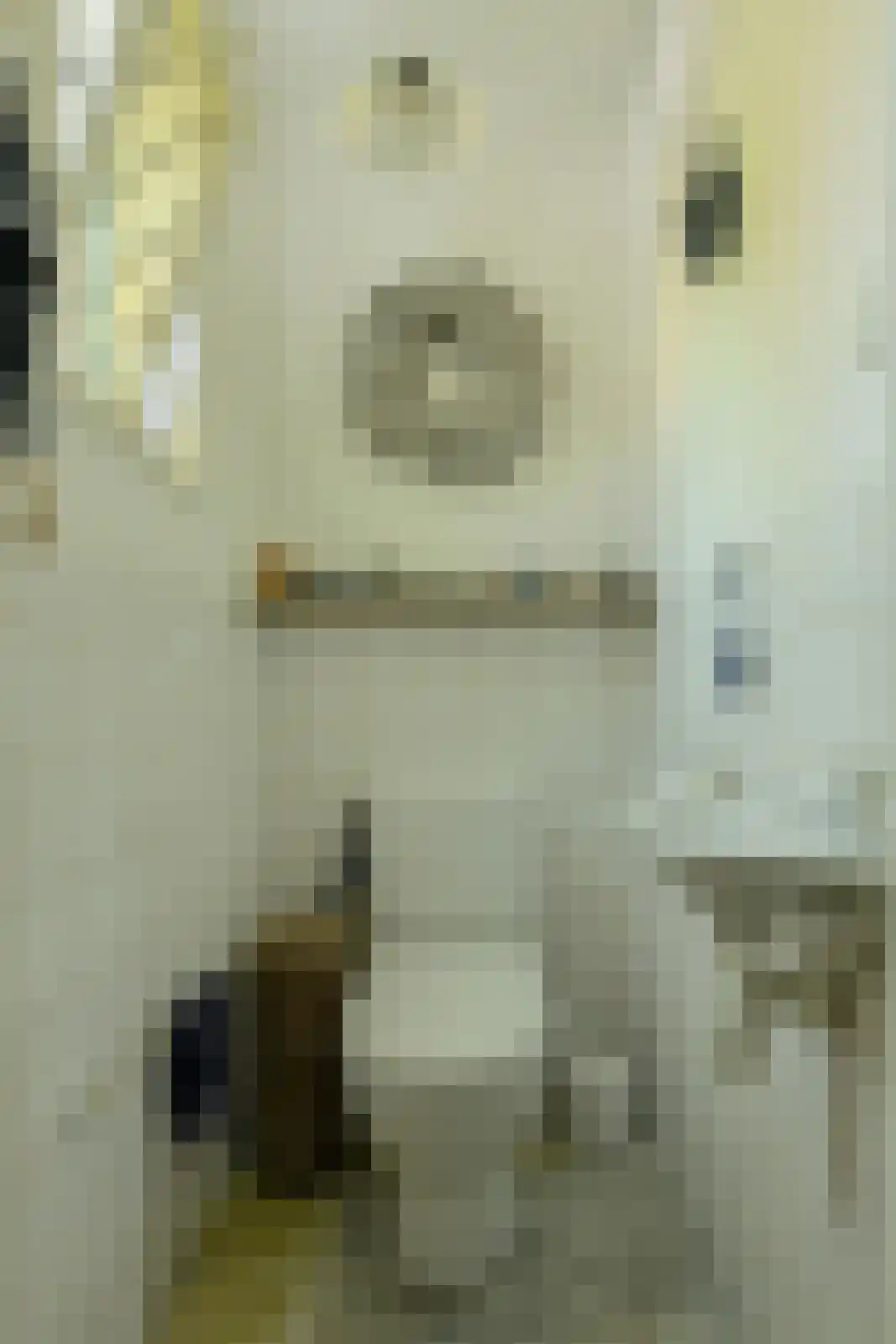 Commandeurstraat 2 Geertruidenberg thumbnail 9
