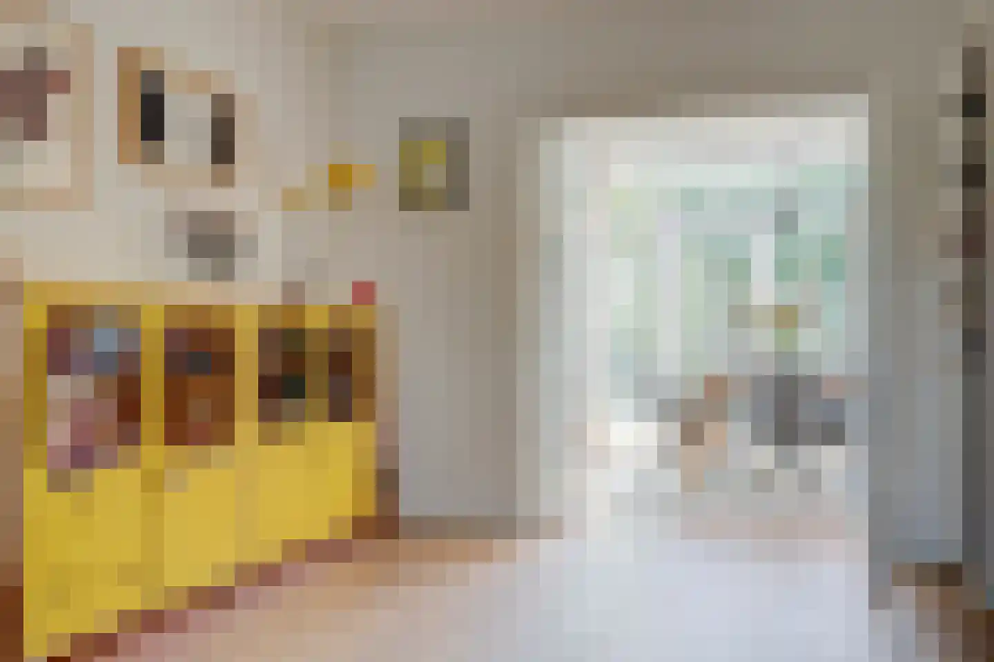 Commandeurstraat 23 Geertruidenberg thumbnail 15