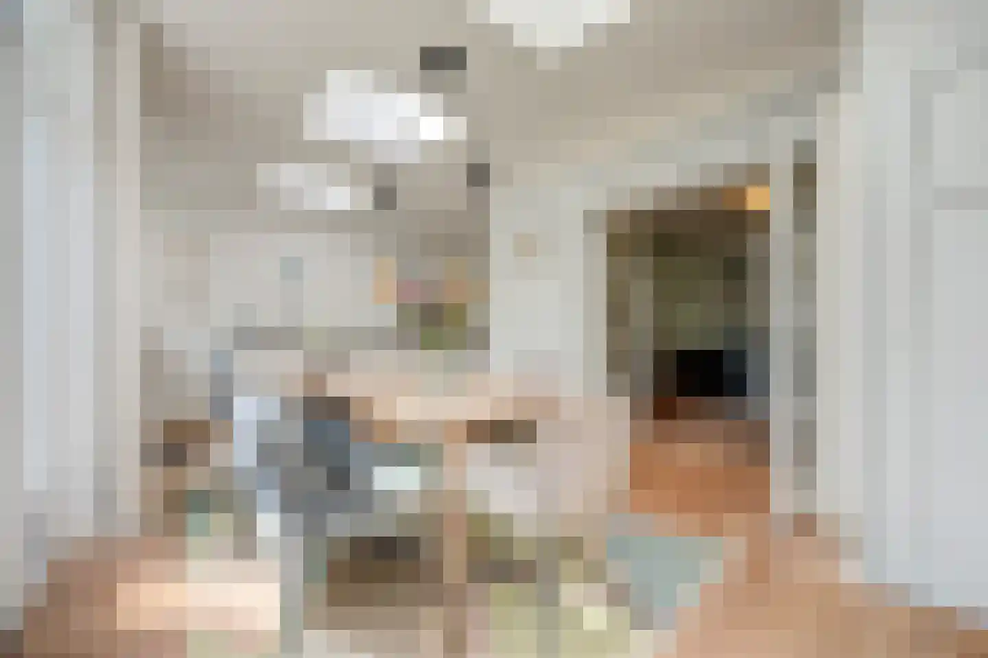 Commandeurstraat 23 Geertruidenberg thumbnail 19
