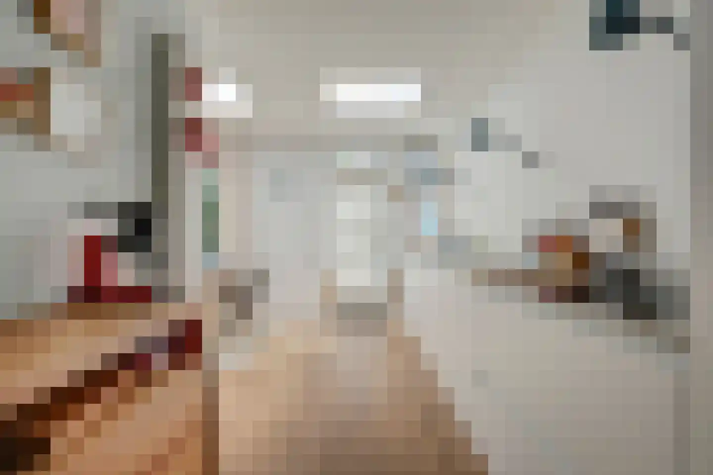 Commandeurstraat 23 Geertruidenberg thumbnail 24