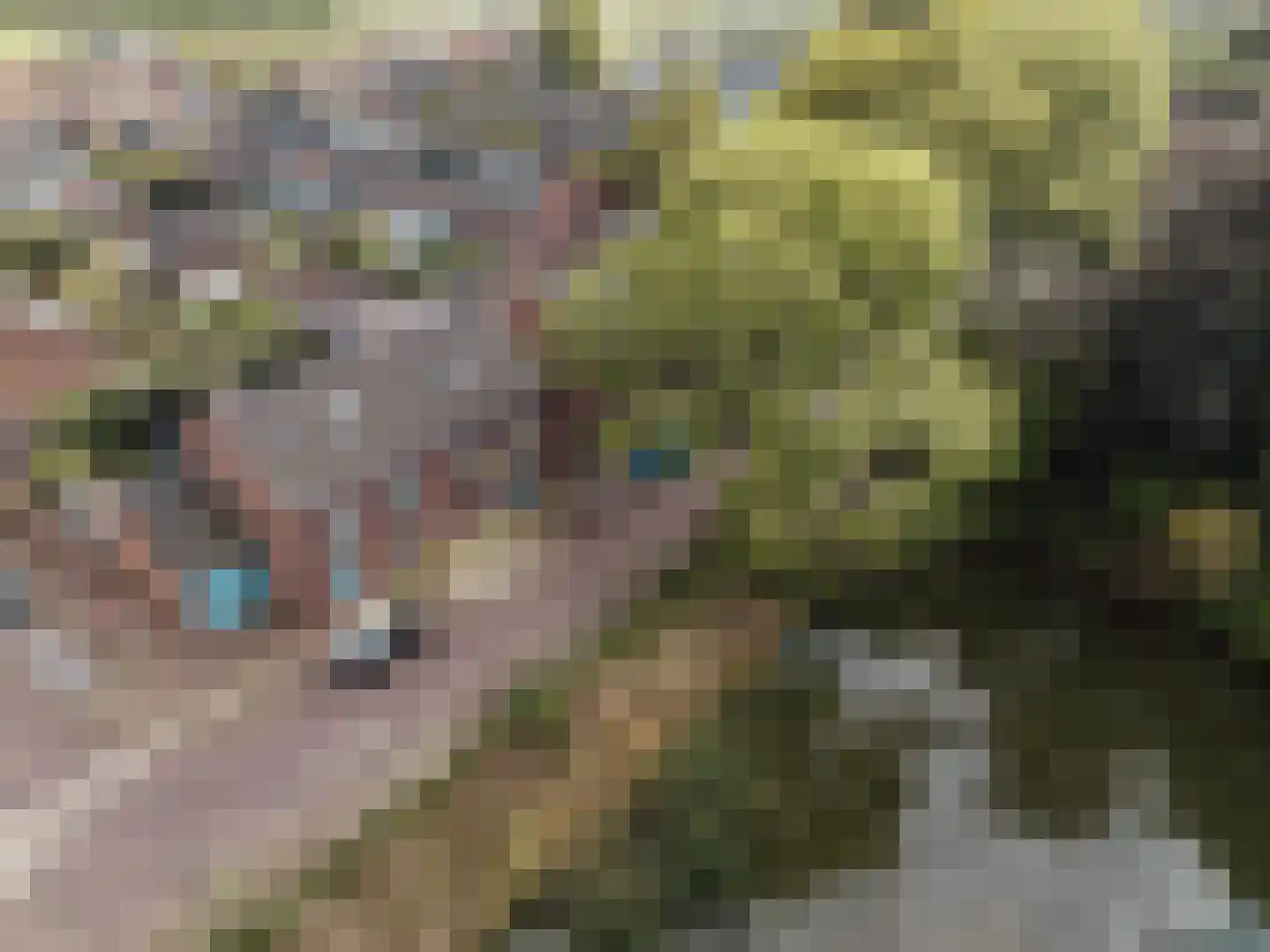Commandeurstraat 23 Geertruidenberg thumbnail 43