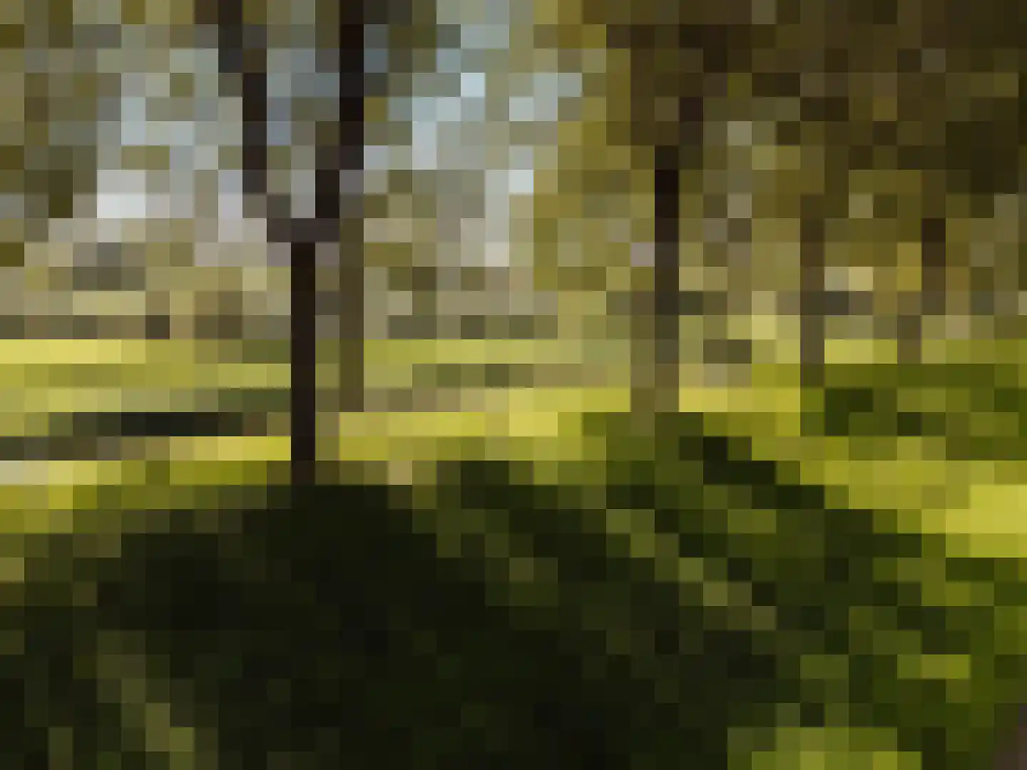 Commandeurstraat 23 Geertruidenberg thumbnail 50
