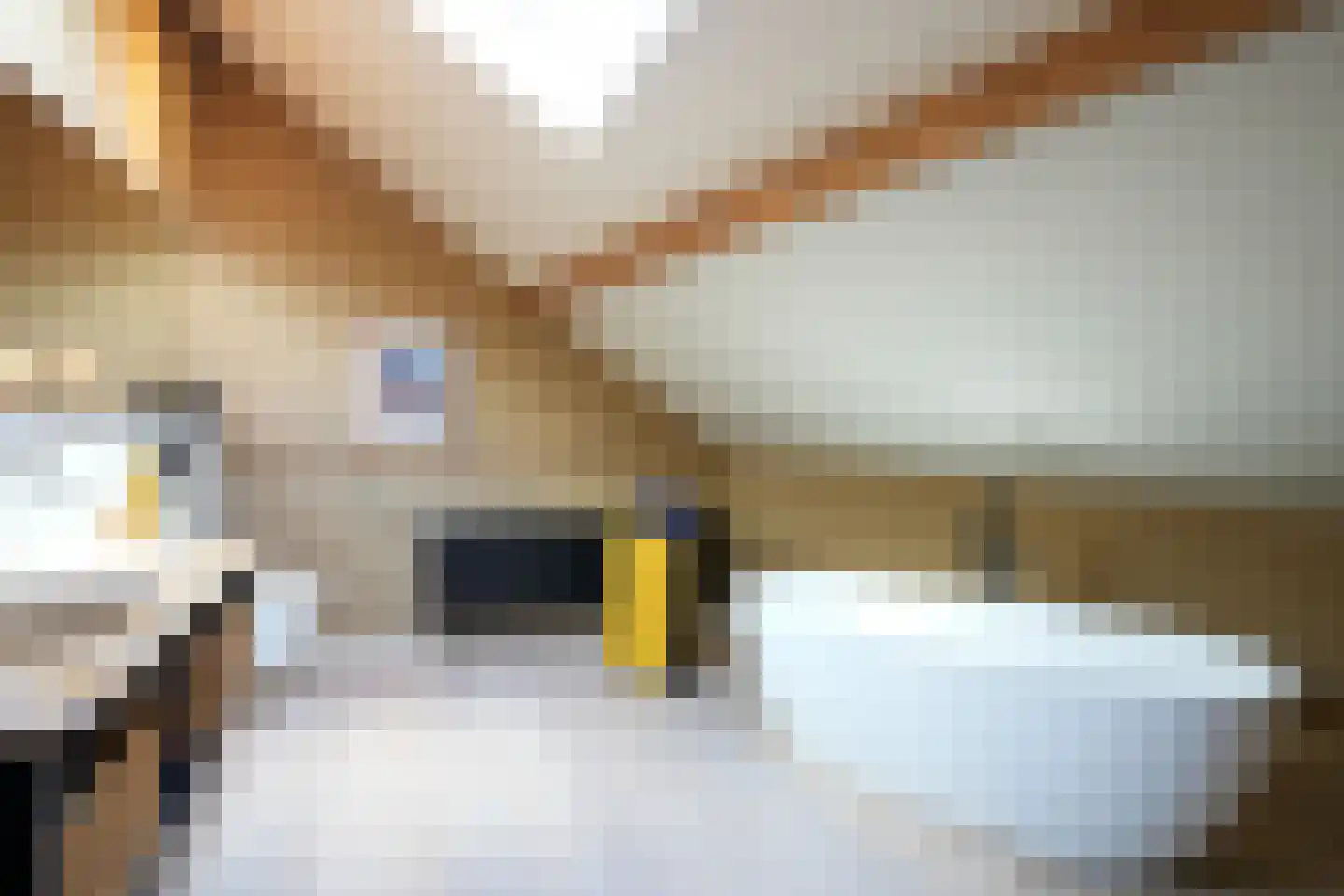 Commandeurstraat 24 Mechelen thumbnail 21