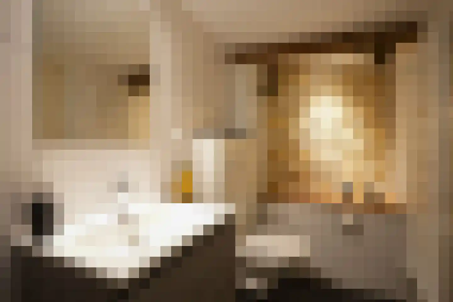 Commandeurstraat 24 Mechelen thumbnail 27