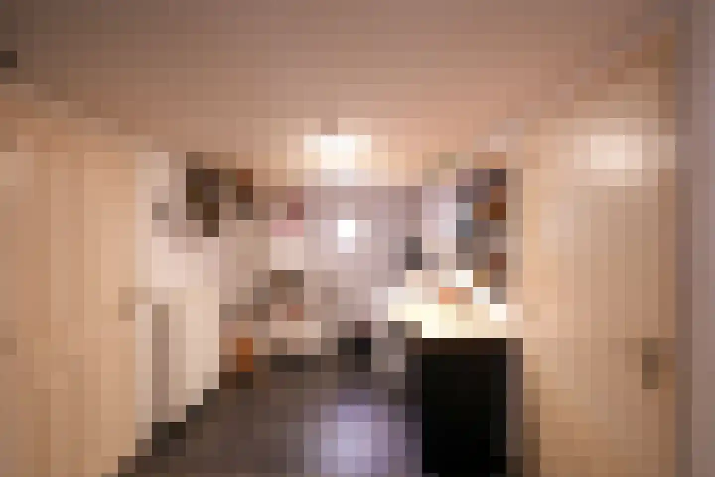 Commandeurstraat 24 Mechelen thumbnail 29