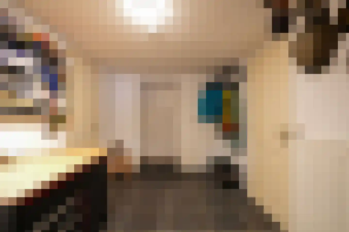 Commandeurstraat 24 Mechelen thumbnail 30