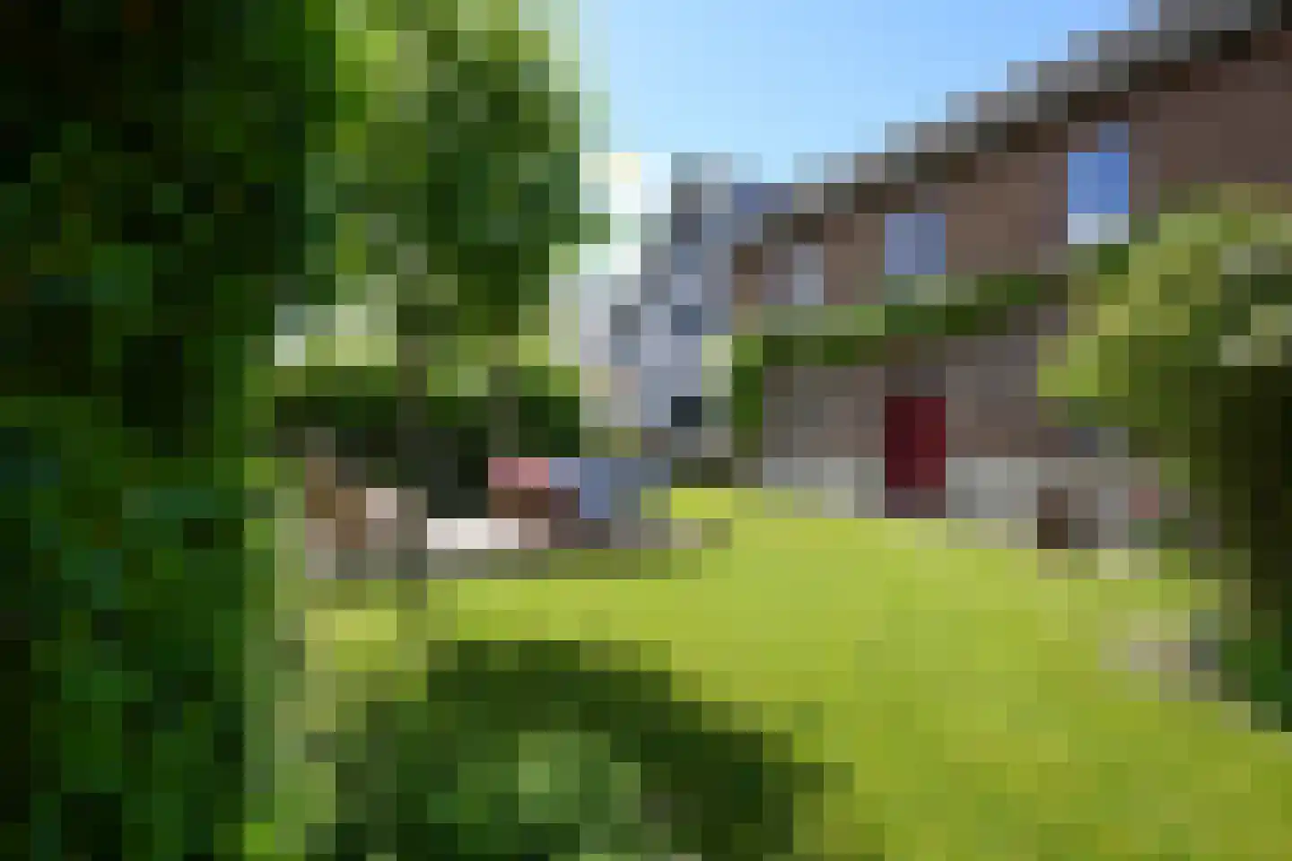 Commandeurstraat 24 Mechelen thumbnail 34