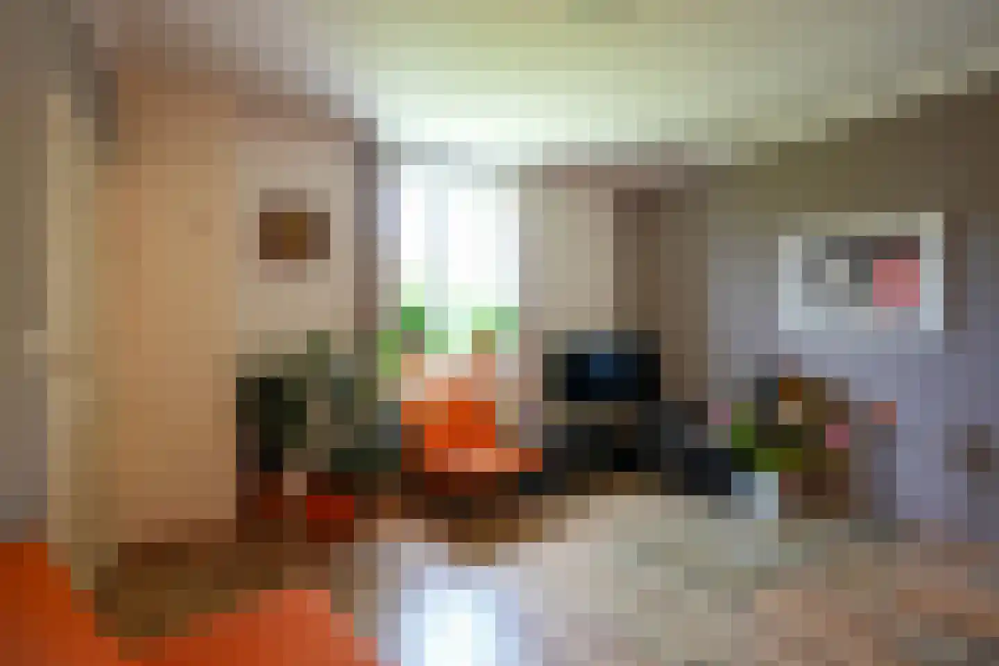 Commandeurstraat 24 Mechelen thumbnail 5