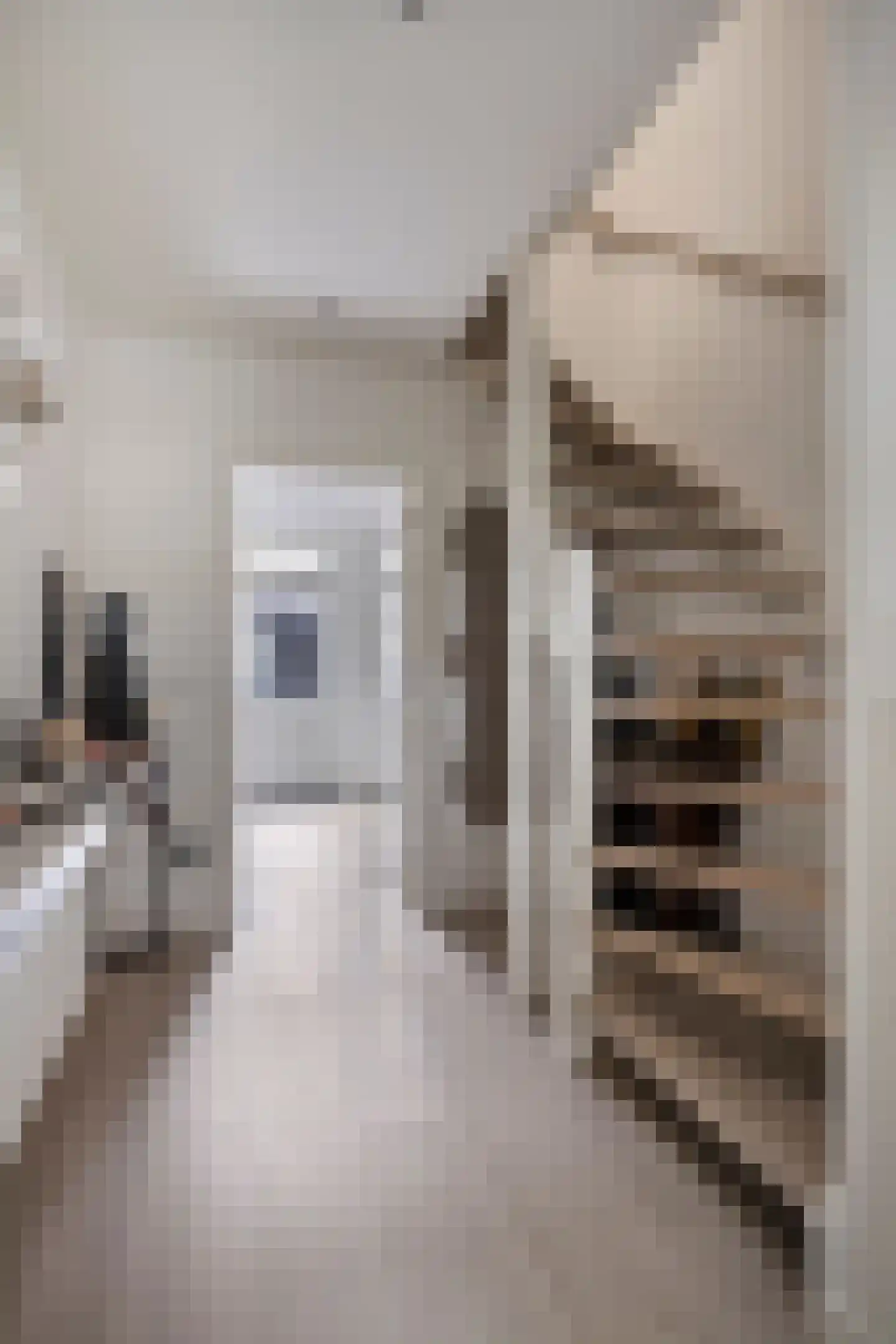 Commandeurstraat 25 Oosterhout thumbnail 10