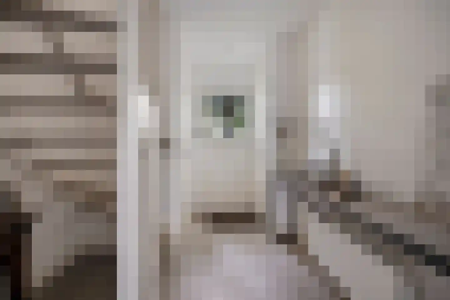 Commandeurstraat 25 Oosterhout thumbnail 11