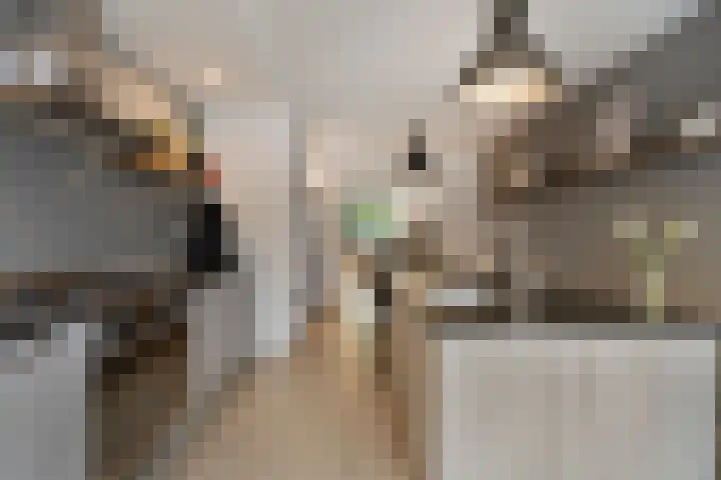 Commandeurstraat 25 Oosterhout thumbnail 20