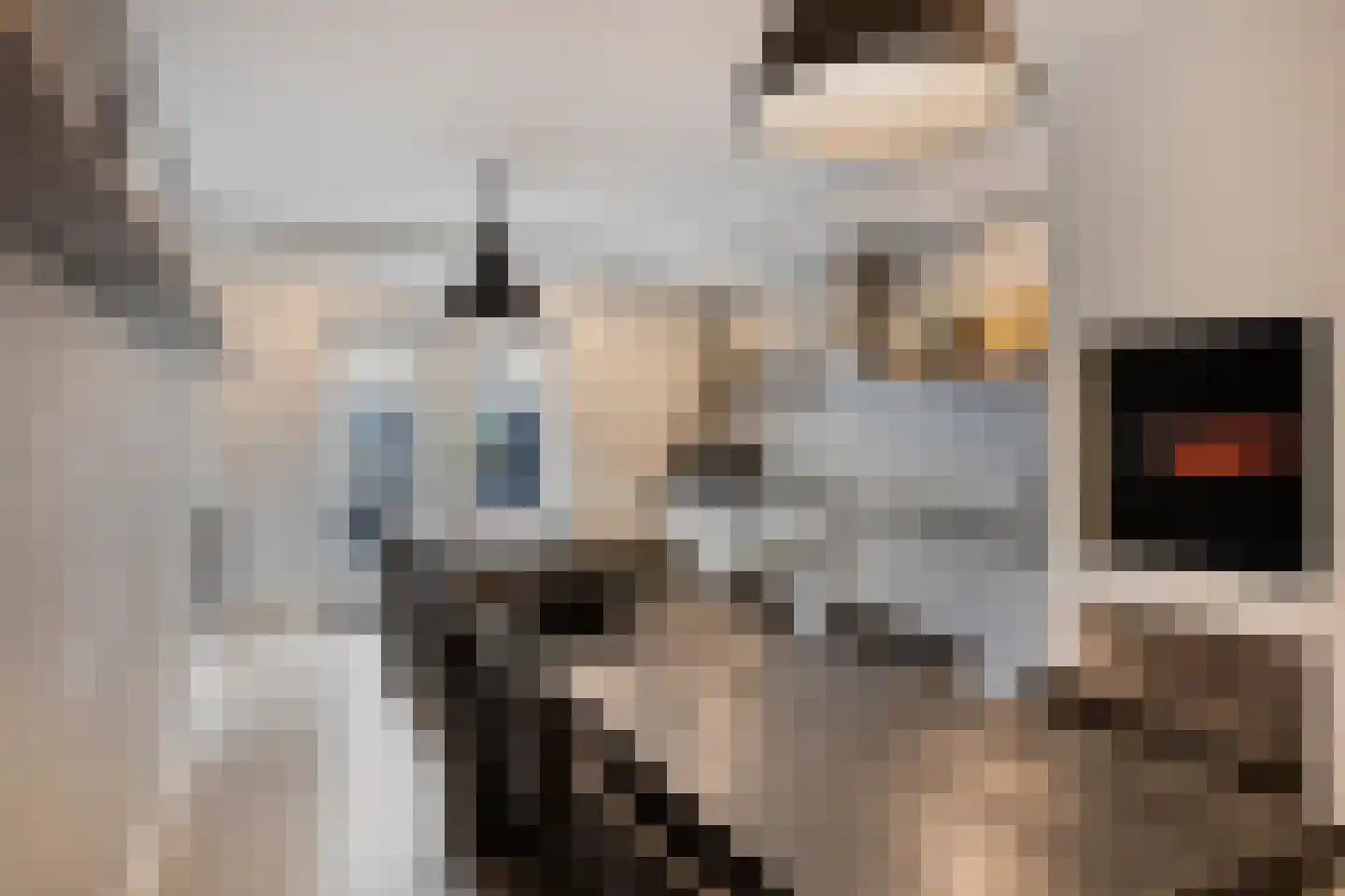 Commandeurstraat 25 Oosterhout thumbnail 21
