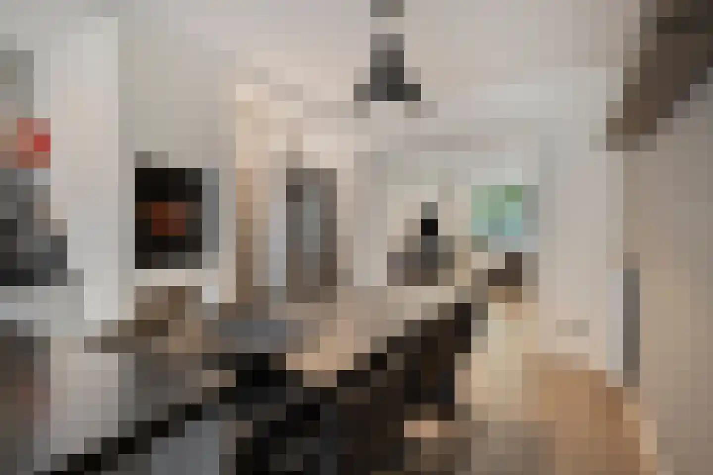 Commandeurstraat 25 Oosterhout thumbnail 23