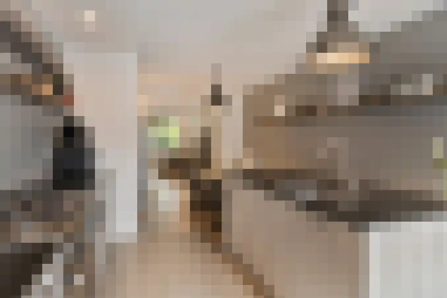 Commandeurstraat 25 Oosterhout thumbnail 24