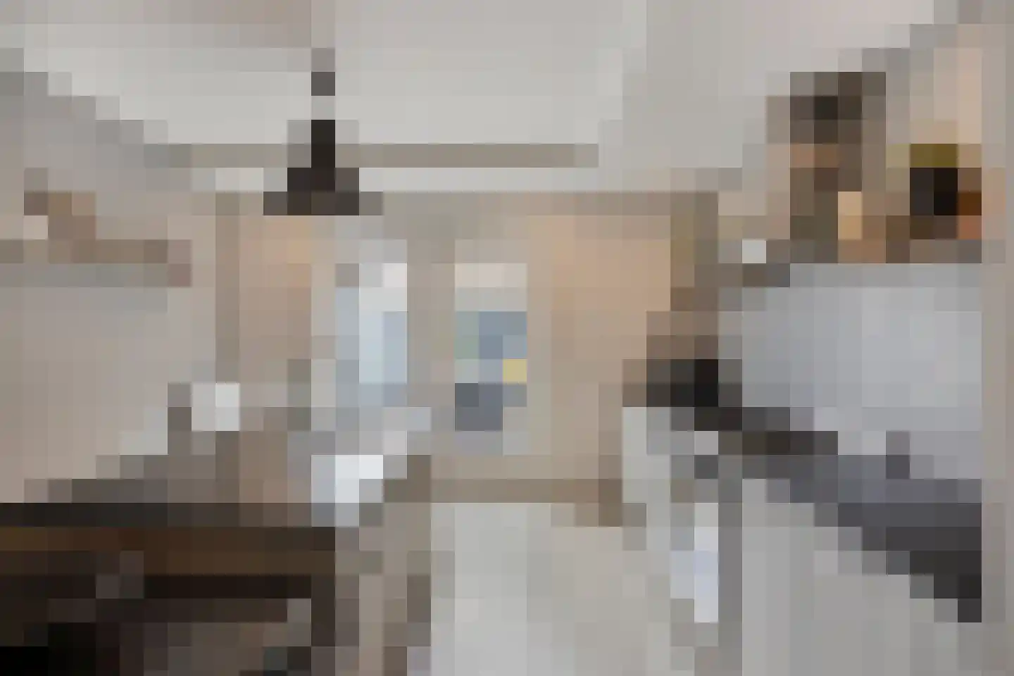 Commandeurstraat 25 Oosterhout thumbnail 25
