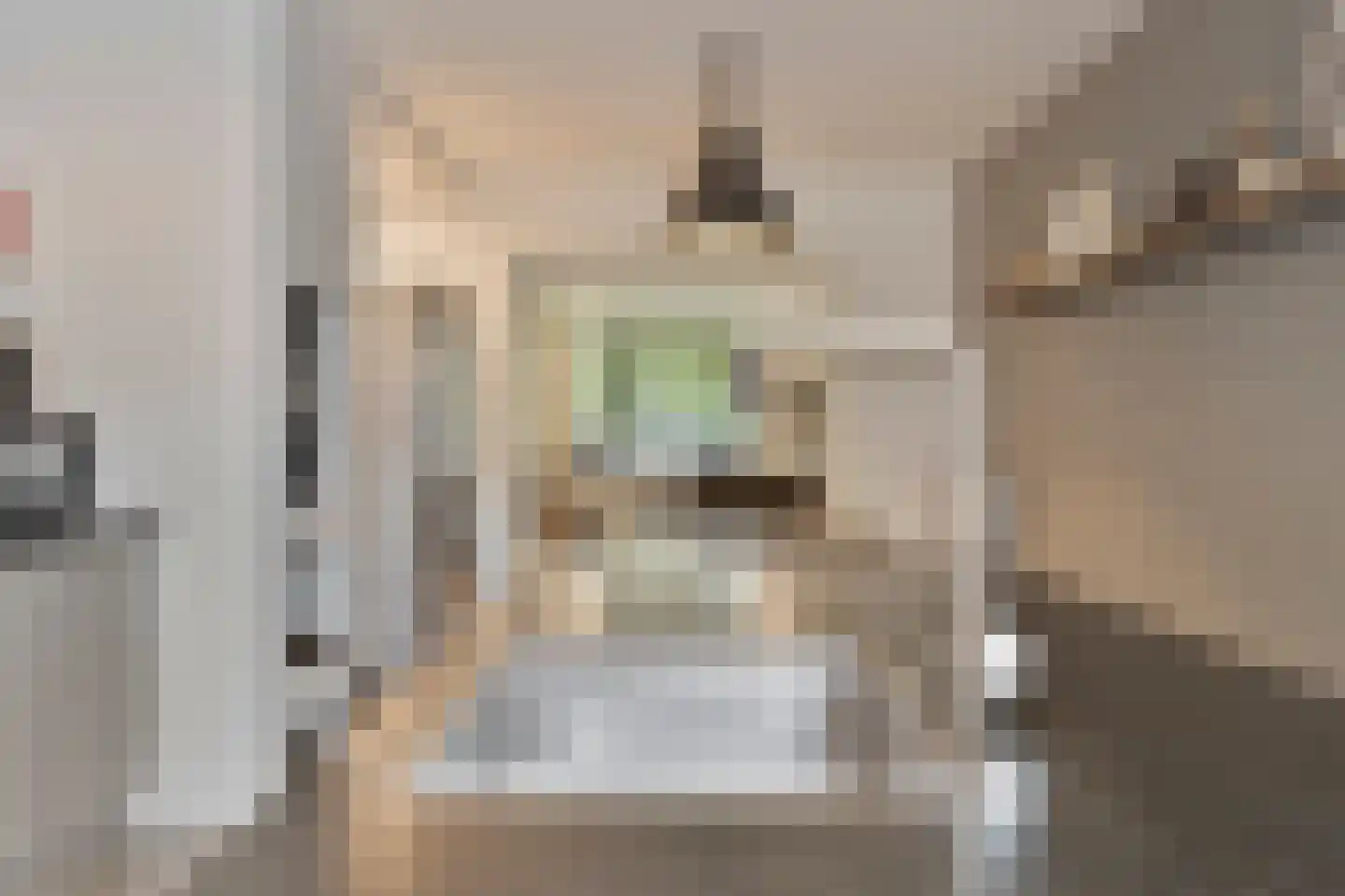 Commandeurstraat 25 Oosterhout thumbnail 25