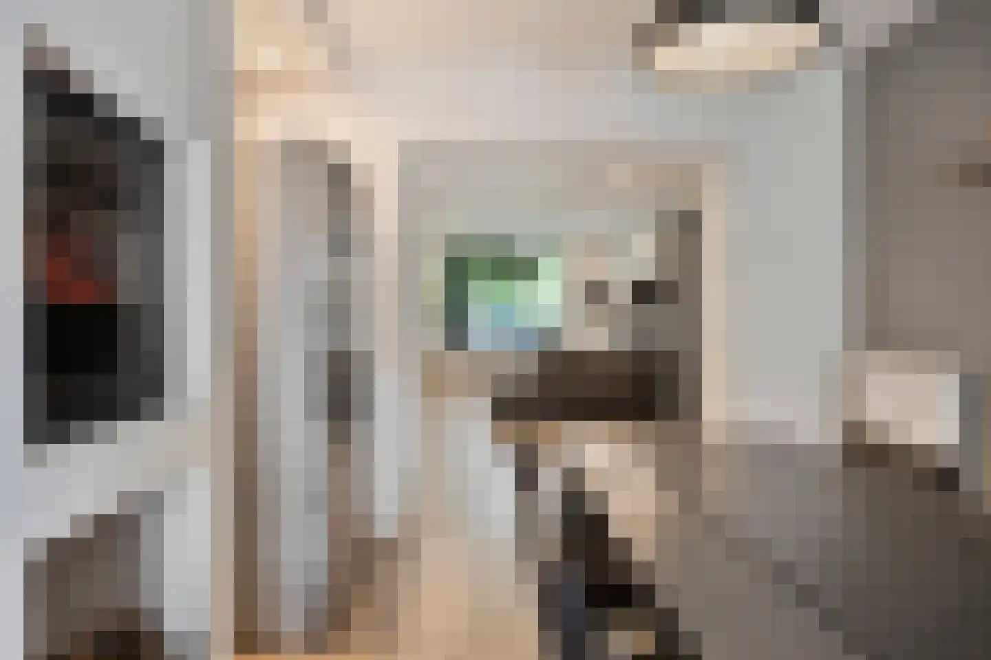 Commandeurstraat 25 Oosterhout thumbnail 26